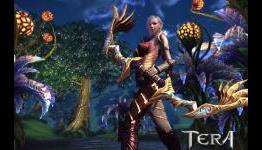 Top 5 Best Free PC MMORPGs to Play in 2014 - The Koalition