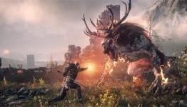 The Witcher Review - IGN