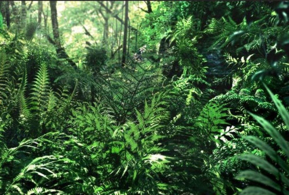 CryEngine 3カスタムマップフォトリアリスティックグラフィックス