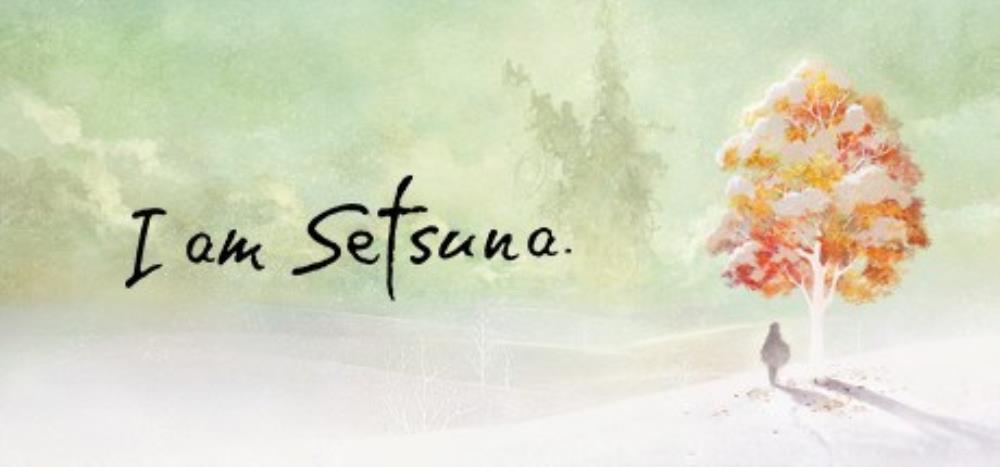 私はsetsunaレビュー（スイッチ）です