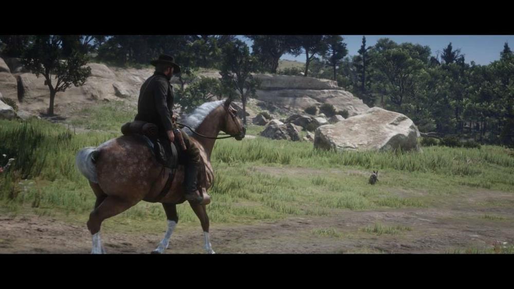 Red Dead Redemption 2 This Is How To Set Your Horse To Autopilot N4G