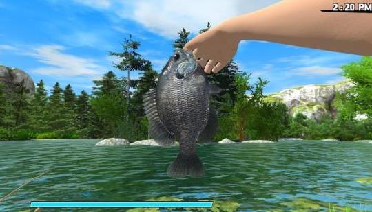 Review - Reel Fishing: Road Trip Adventure (Switch) | WayTooManyGames | N4G