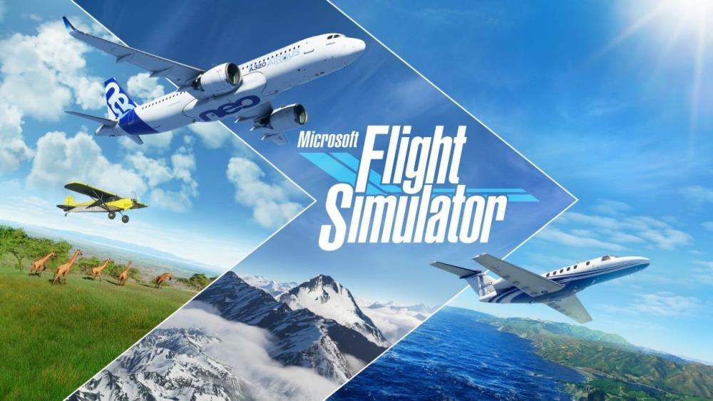 Microsoft Flight Simulator Review（PC）