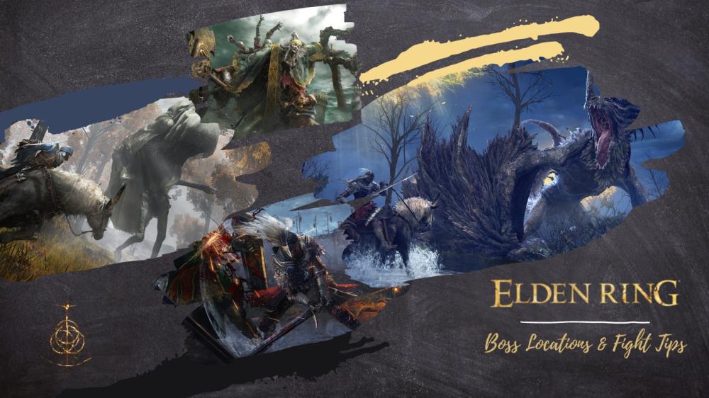 Elden Ring Updates SteamDB Ahead of The Game Awards - DLC New