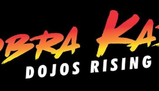 Cobra Kai 2: Dojos Rising on Steam