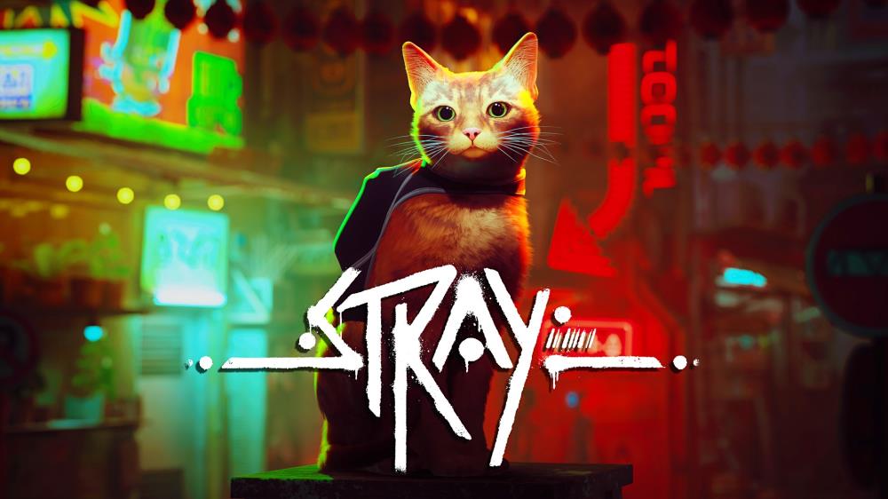 What's New Pussycat? Stray, The Review
