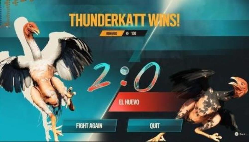 77BET Cockfighting Paradise of Top Matches