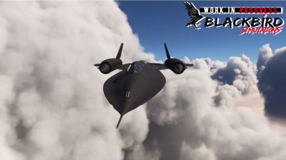 Flight Simulator 2004 C-130 Hercules - Jeux vidéo
